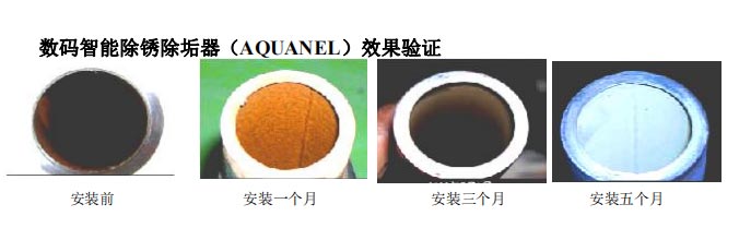效果验证 效果验证